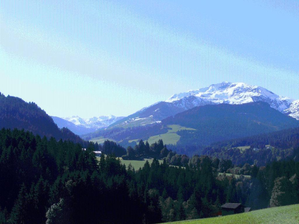 Landgasthof Dorferwirt Oberau Extérieur photo