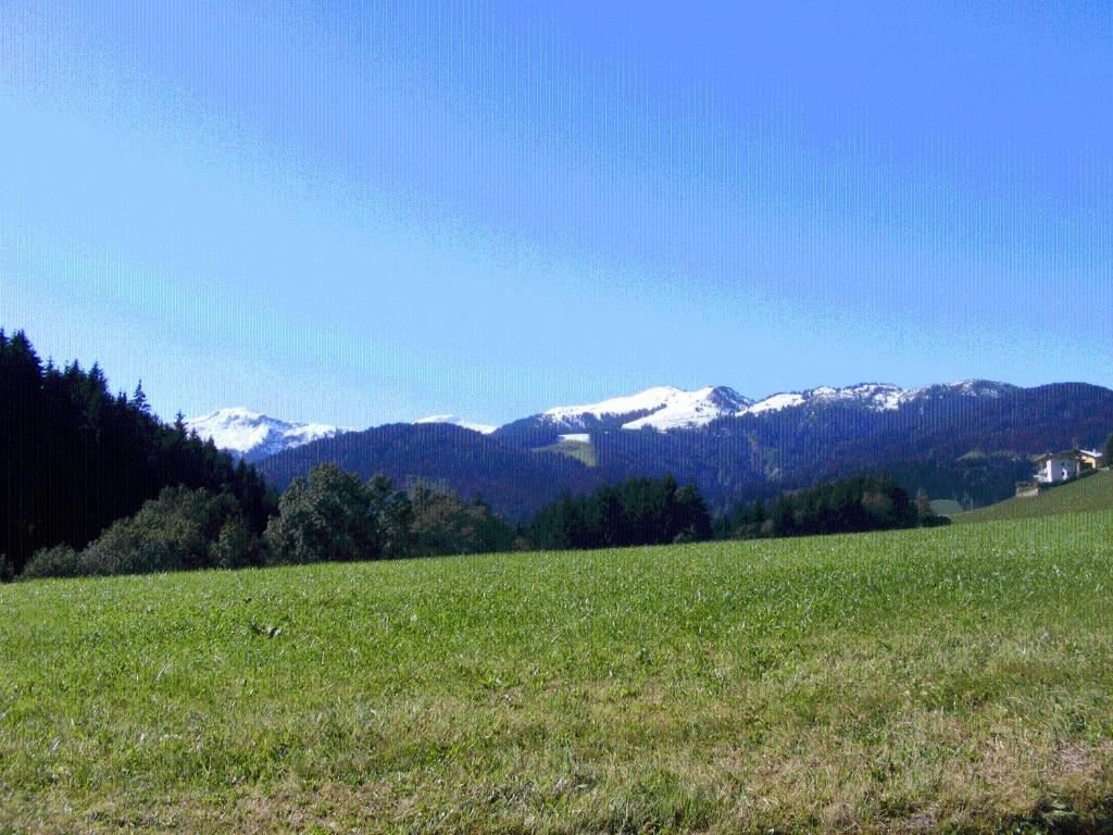 Landgasthof Dorferwirt Oberau Chambre photo